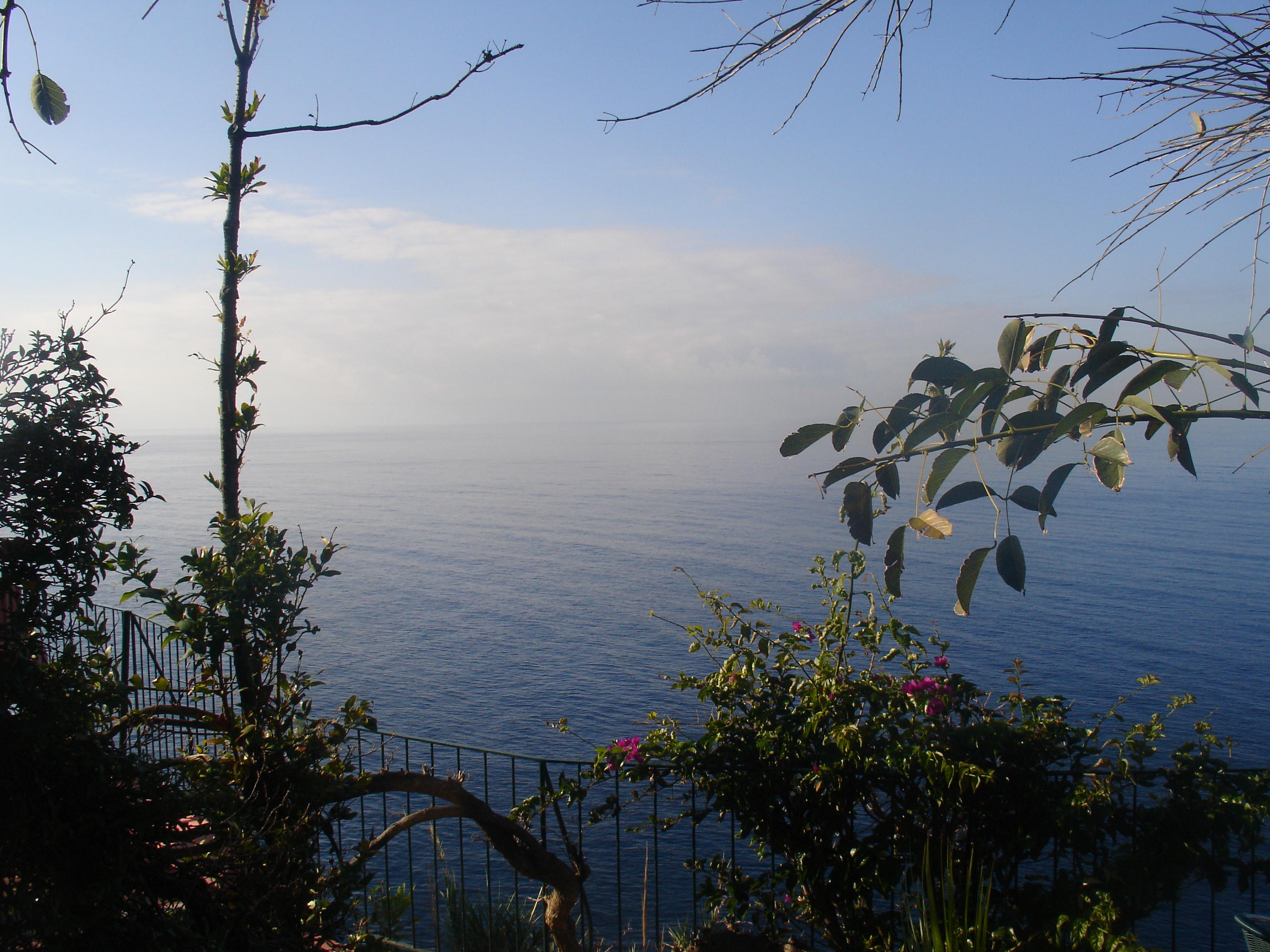 Inn & Art Madeira Caniço Dış mekan fotoğraf