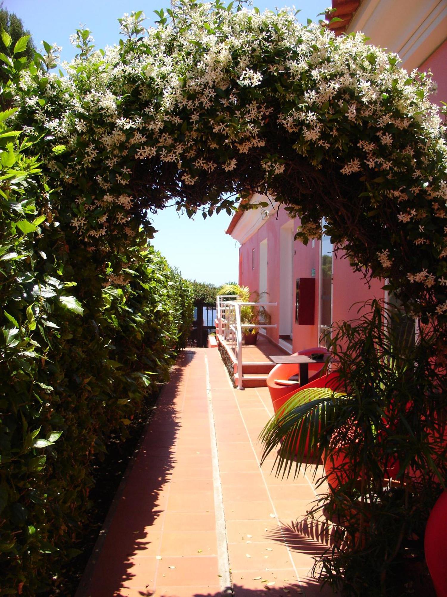 Inn & Art Madeira Caniço Dış mekan fotoğraf